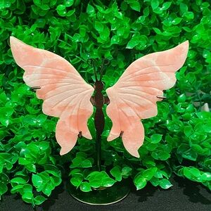 Pink Opal Butterfly wings